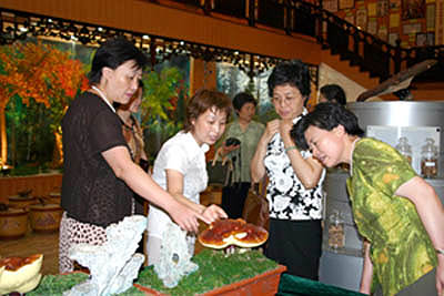 QY球友会
