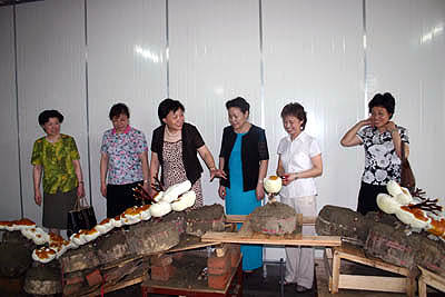 QY球友会