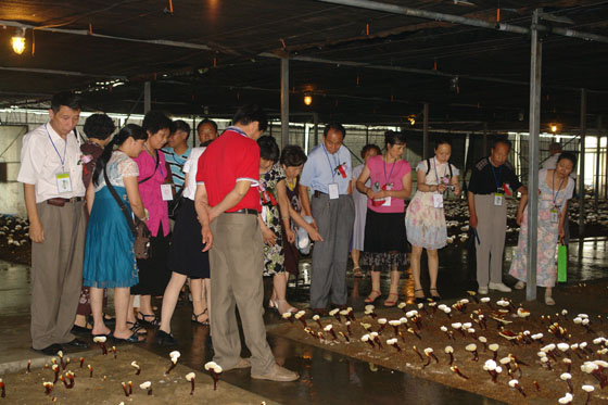 QY球友会 QY球友会