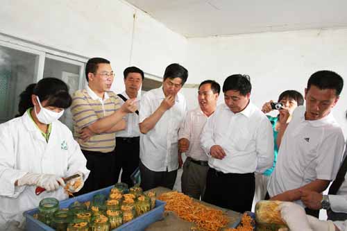 QY球友会